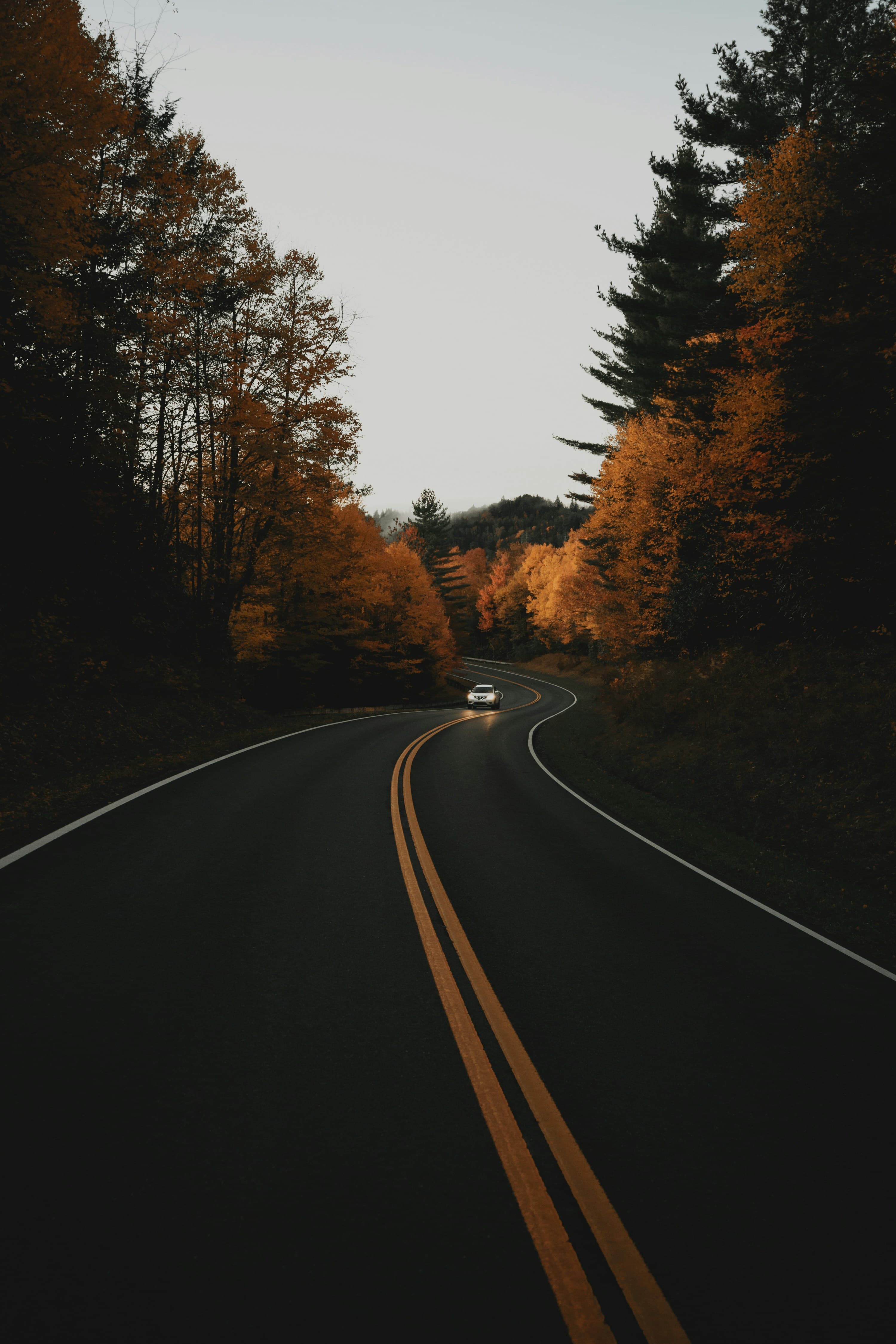 Bansal Travels Professional Chauffeur